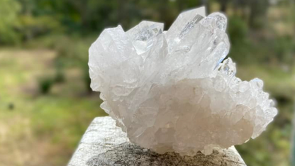 Lemurian Seed Cluster with Rainbows and Record Keepers