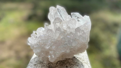Lemurian Seed Cluster with Rainbows and Record Keepers