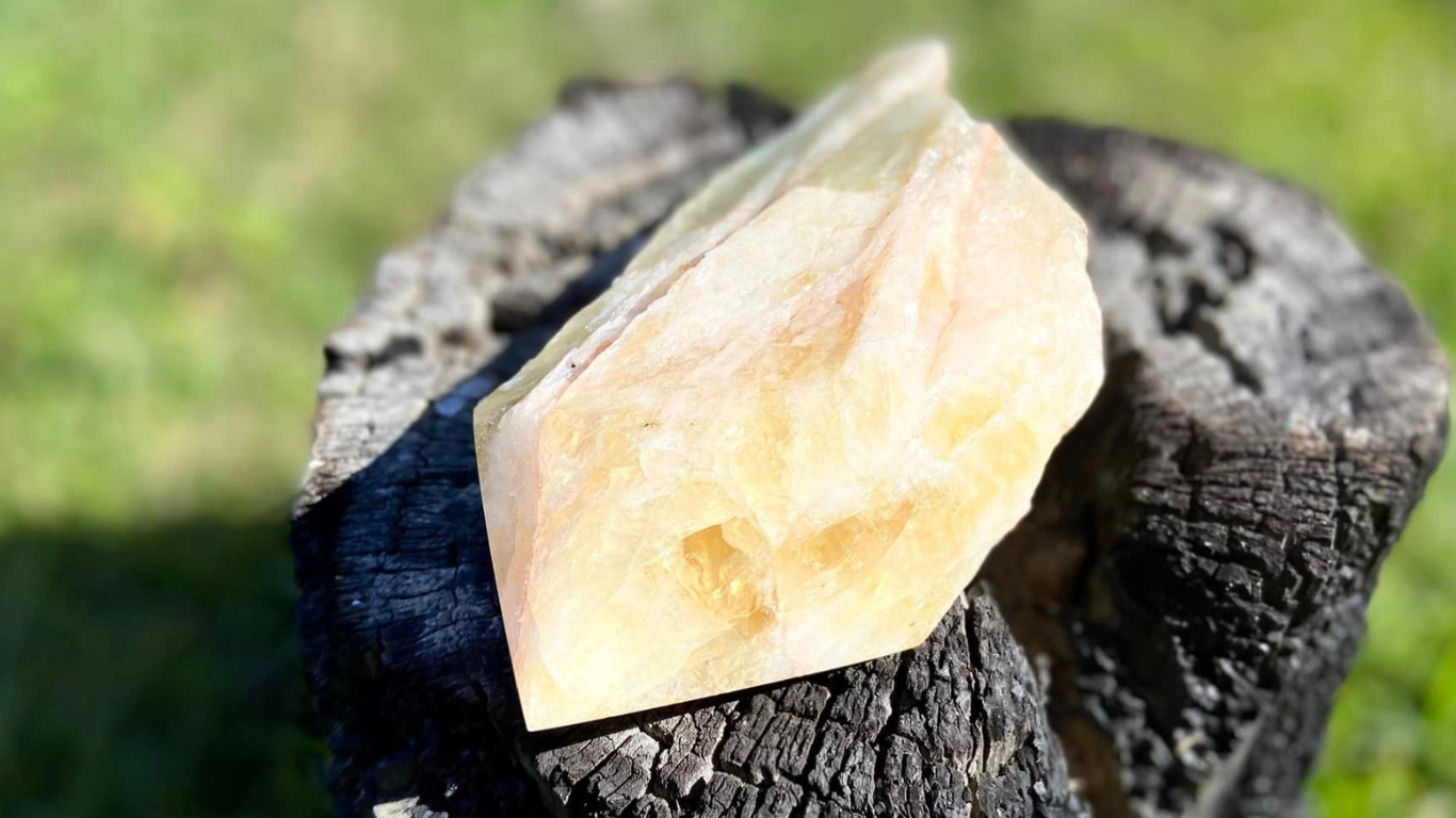 Dragon Tooth Citrine Quartz Natural Point