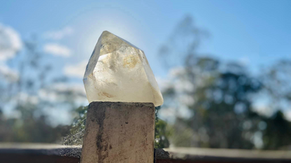 Golden Healer Pleiadian Starbary Master Record Keeper Natural Point