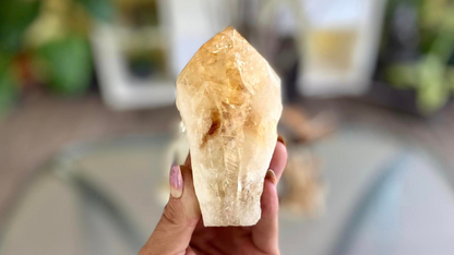 Citrine Cut Base Polished Point Generator