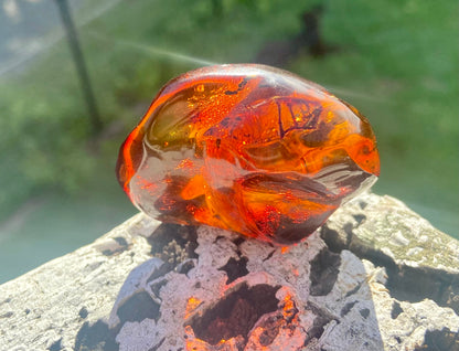 Rare Red Fire Baltic Amber with Ancient Organic Inclusions: Collector's Gem