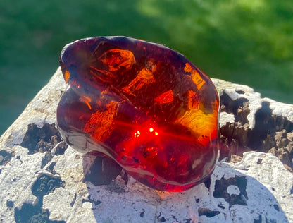 Rare Red Fire Baltic Amber with Ancient Organic Inclusions: Collector's Gem