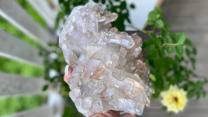 Golden Healer Lemurian Seed Cluster AAA+ Grade