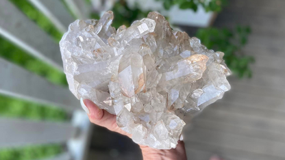 Golden Healer Lemurian Seed Cluster AAA+ Grade