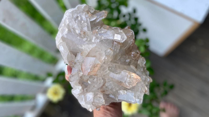 Golden Healer Lemurian Seed Cluster AAA+ Grade