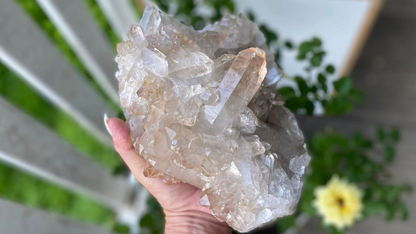 Golden Healer Lemurian Seed Cluster AAA+ Grade