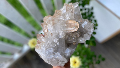 Golden Healer Lemurian Seed Cluster AAA+ Grade