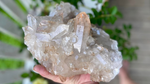 Golden Healer Lemurian Seed Cluster AAA+ Grade