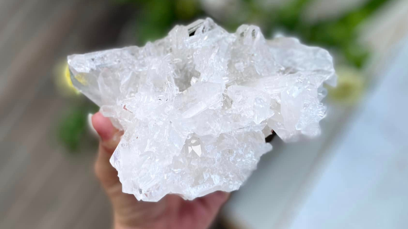 Lemurian Seed Mini Point Cluster AAA+ Grade