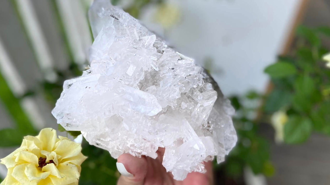 Lemurian Seed Mini Point Cluster AAA+ Grade