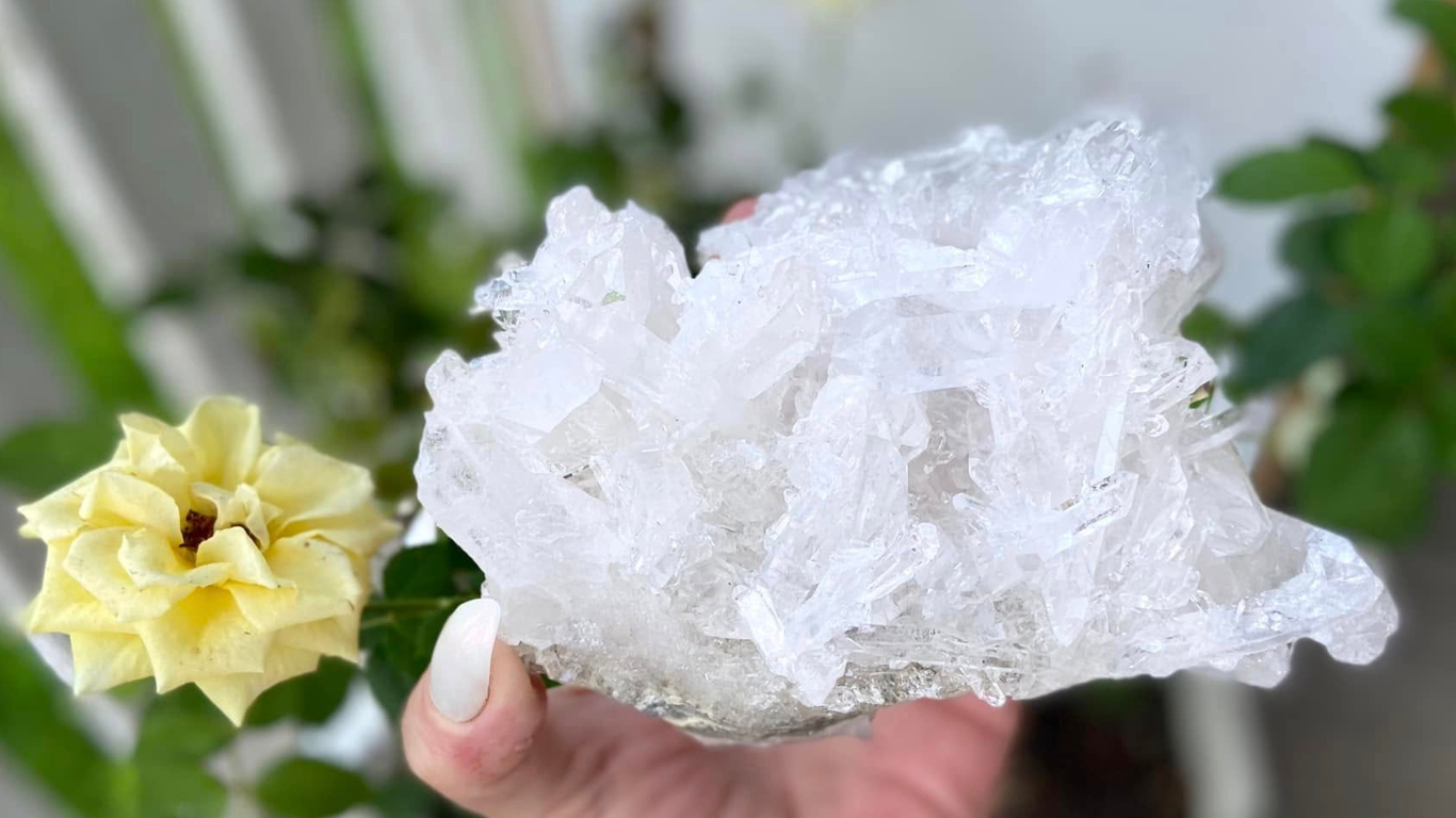 Lemurian Seed Mini Point Cluster AAA+ Grade