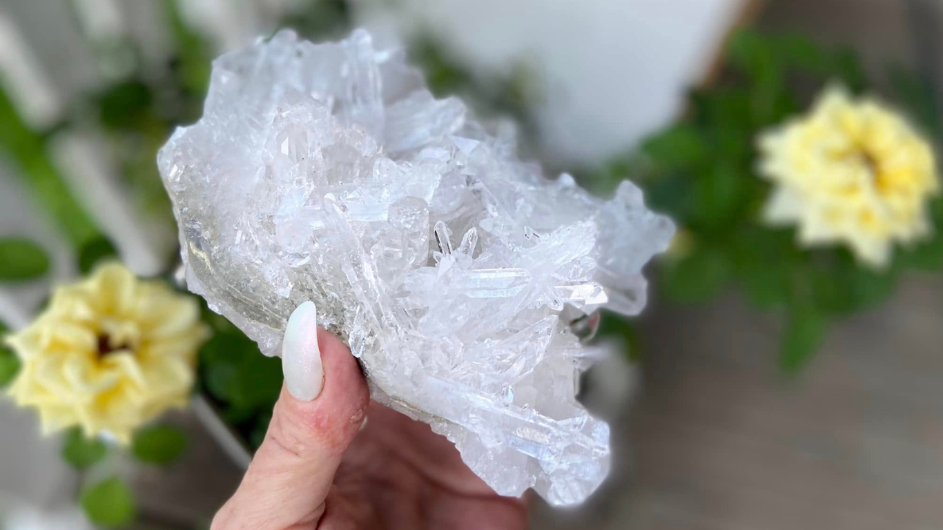 Lemurian Seed Mini Point Cluster AAA+ Grade