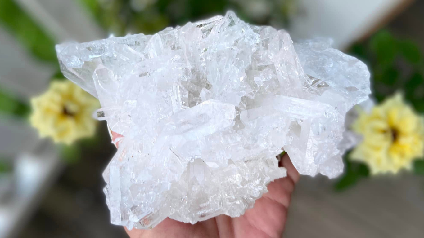 Lemurian Seed Mini Point Cluster AAA+ Grade