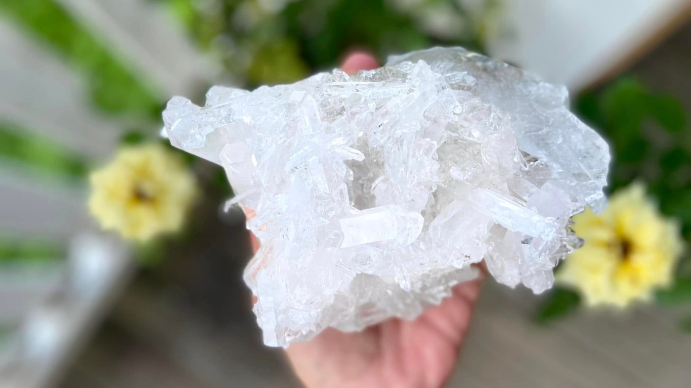 Lemurian Seed Mini Point Cluster AAA+ Grade