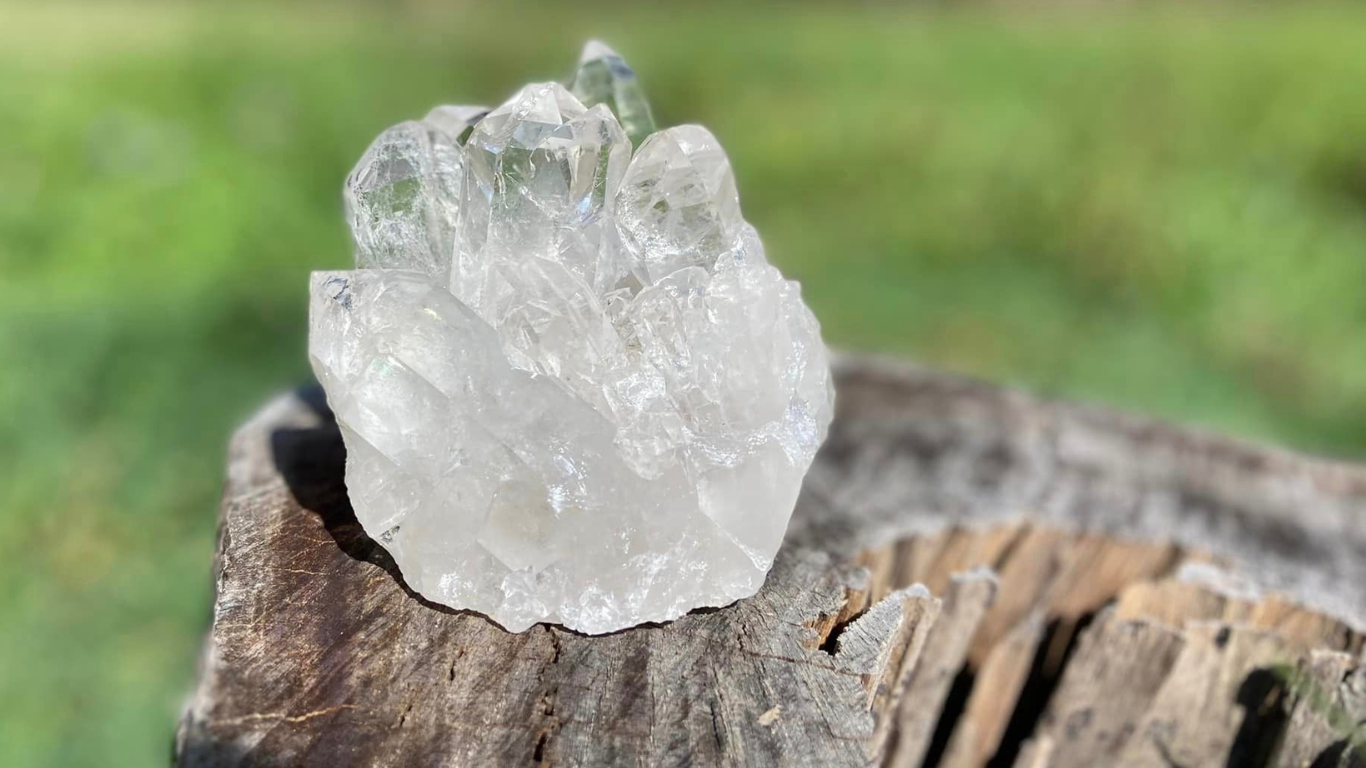 Lemurian Seed and Pleiadian Starbary Cluster  AAA+ Grade