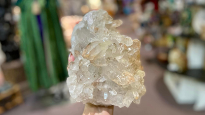 Golden Healer Lemurian Seed Cluster AAA+ Grade