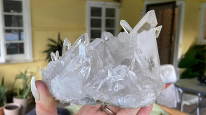 Lemurian Seed Mini Point Cluster AAA+ Grade