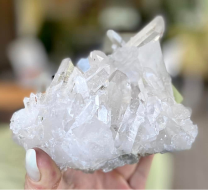 Lemurian Seed Mini Point Cluster AAA+ Grade