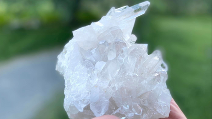 Lemurian Seed Mini Point Cluster AAA+ Grade