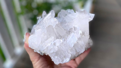 Lemurian Seed Mini Point Cluster AAA+ Grade