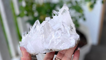 Lemurian Seed Mini Point Cluster AAA+ Grade