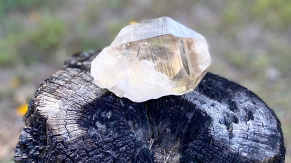 Smokey Citrine Pleiadian Starbray | Lemurian Seed Quartz Point | Smoky Citrine | Manifestation & Inner Child Crystal | Brazil – 358g