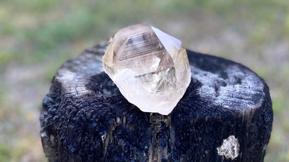 Smokey Citrine Pleiadian Starbray | Lemurian Seed Quartz Point | Smoky Citrine | Manifestation & Inner Child Crystal | Brazil – 358g