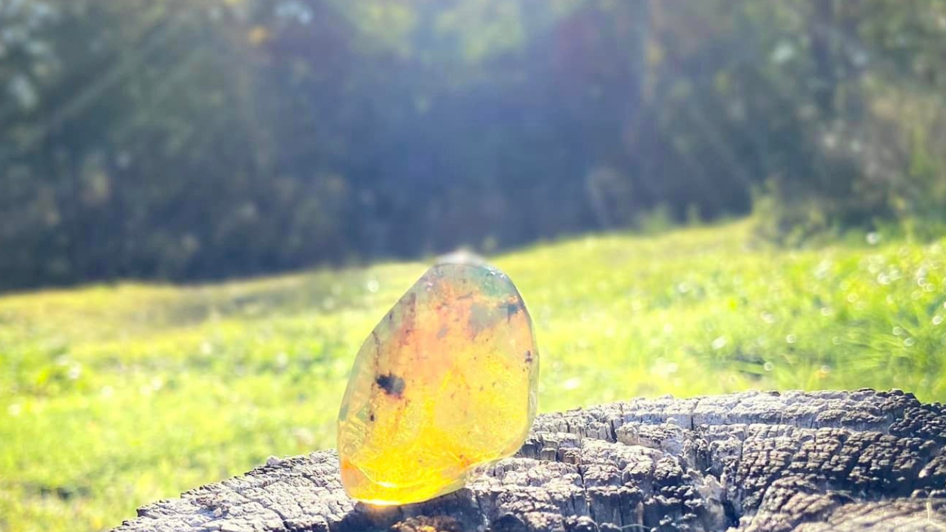 Polished Amber Black Light Fluorescence (full of bugs)