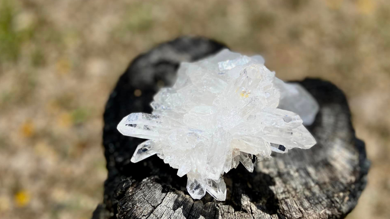 Lemurian Seed Cluster AAA+ Grade