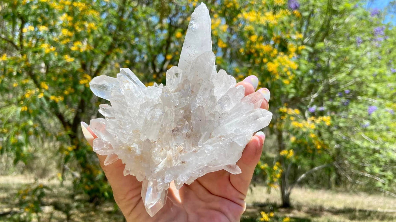 Lemurian Seed Cluster AAA+ Grade