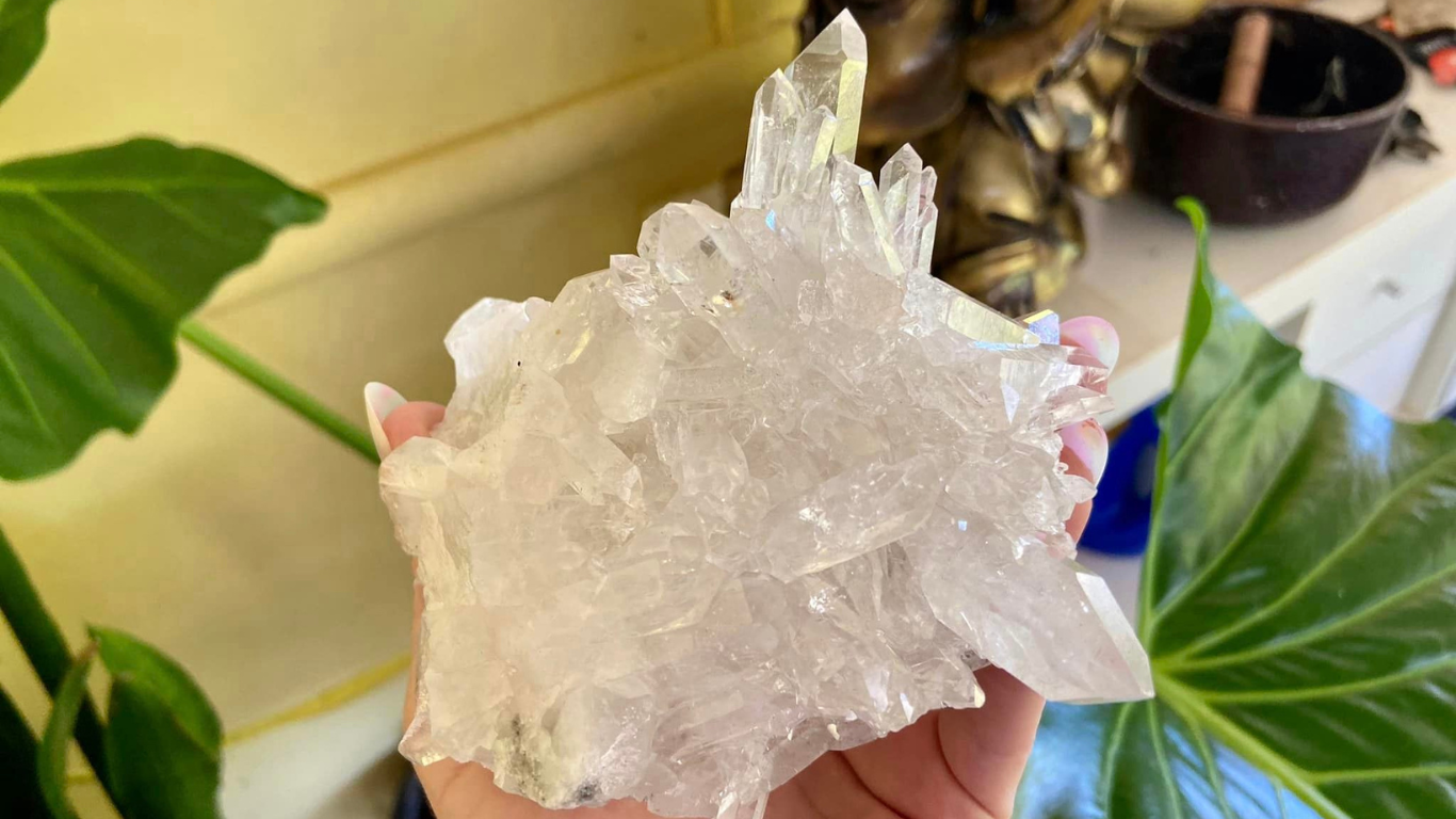 Lemurian Seed Cluster AAA+ Grade