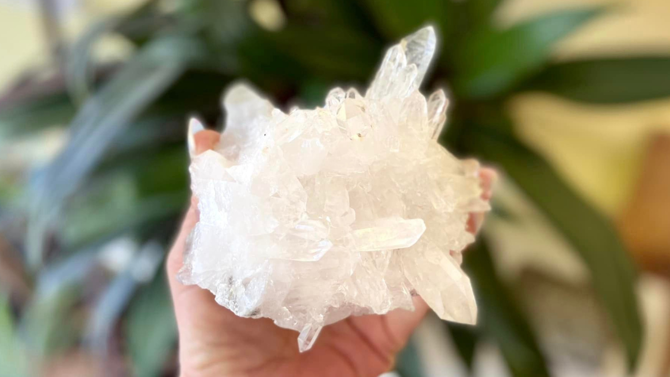 Lemurian Seed Cluster AAA+ Grade