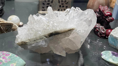Lemurian Seed Mini Point Cluster AAA+ Grade
