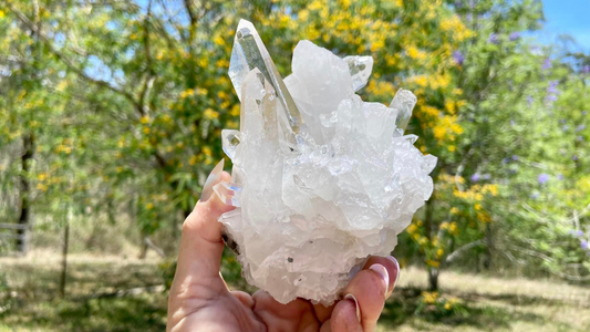 Lemurian Seed Cluster AAA+ Grade