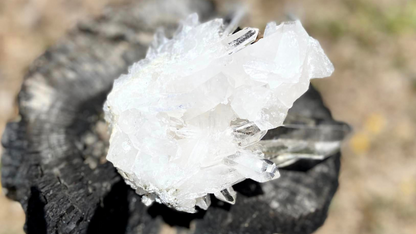 Lemurian Seed Cluster AAA+ Grade