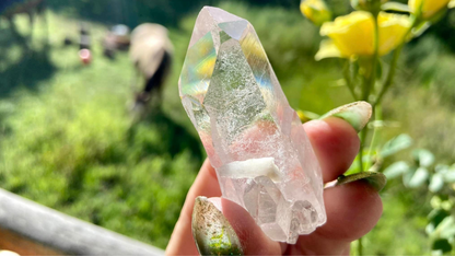 Pleiadian Starbary Cathederal Quartz Point X Grade