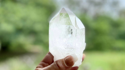 Lemurian Seed Cathederal with Bridge X Grade