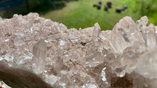 Sacred Rose Lithium Lemurian Colombian Quartz Cluster AAA+++