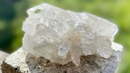 Lemurian Seed Double Terminated Cluster X Grade