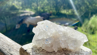 Lemurian Seed Double Terminated Cluster X Grade
