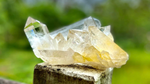 Lemurian Seed Cluster with a hint of Golden Healer XXX Grade