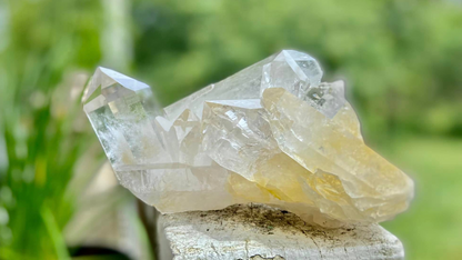 Rare AAA Grade Lemurian Clear Quartz Cluster With Golden Healer |Brazil |Master Healer,Amplifier, Programmer | 787 Grams