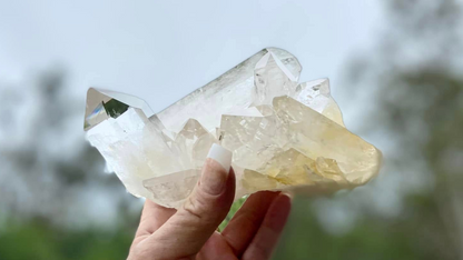 Rare AAA Grade Lemurian Clear Quartz Cluster With Golden Healer |Brazil |Master Healer,Amplifier, Programmer | 787 Grams