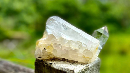 Rare AAA Grade Lemurian Clear Quartz Cluster With Golden Healer |Brazil |Master Healer,Amplifier, Programmer | 787 Grams