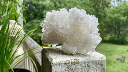 Lemurian Seed Mini Point Cluster AAA+ Grade