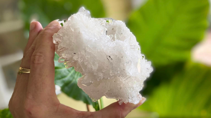 Lemurian Seed Mini Point Cluster AAA+ Grade