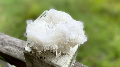 Lemurian Seed Mini Point Cluster AAA+ Grade