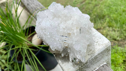 Lemurian Seed Mini Point Cluster AAA+ Grade