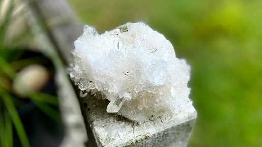 Lemurian Seed Mini Point Cluster AAA+ Grade